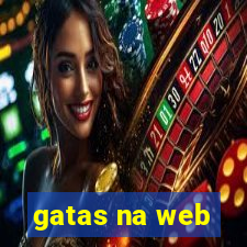 gatas na web